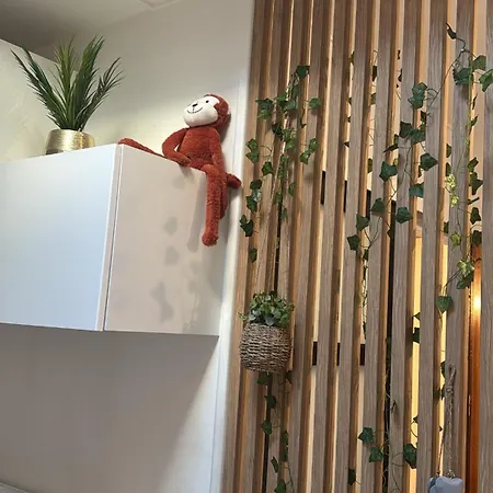 Jungle شقة *